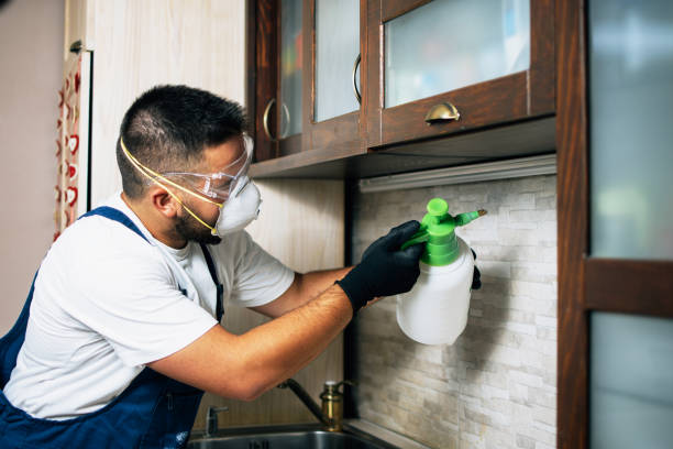 Best Bed Bug Extermination  in Newport, TN