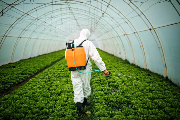 Best Pest Removal Services  in Newport, TN