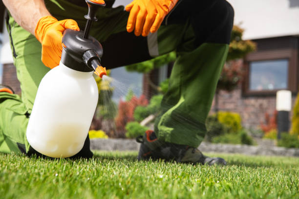 Best Insect Control  in Newport, TN