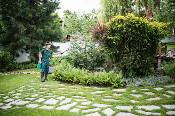 Best Best Pest Control Companies  in Newport, TN