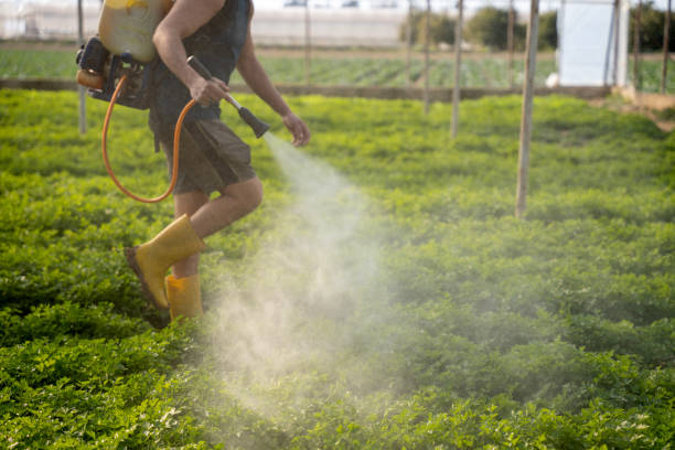 Best Pest Removal Services  in Newport, TN