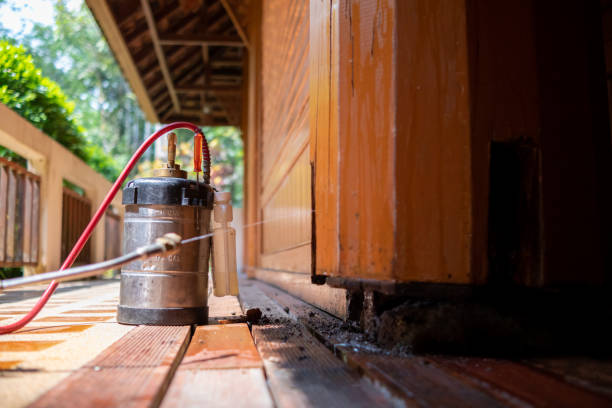 Best Termite Control Services  in Newport, TN