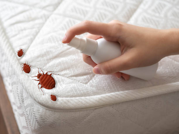 Insect Control in Newport, TN