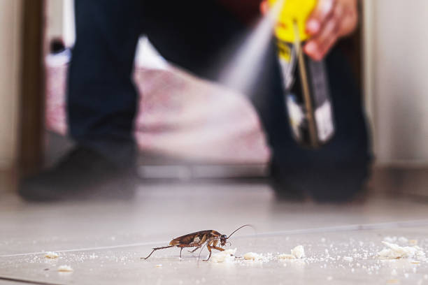 Best Pest Control for Restaurants  in Newport, TN