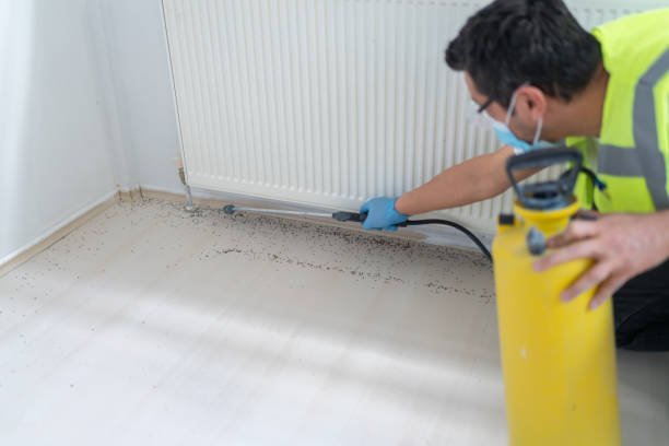 Best Cockroach Control Services  in Newport, TN