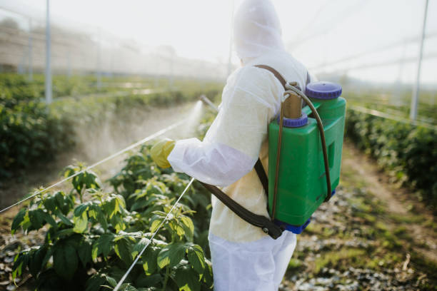Pest Control for Restaurants in Newport, TN